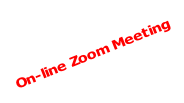 On-line Zoom Meeting
